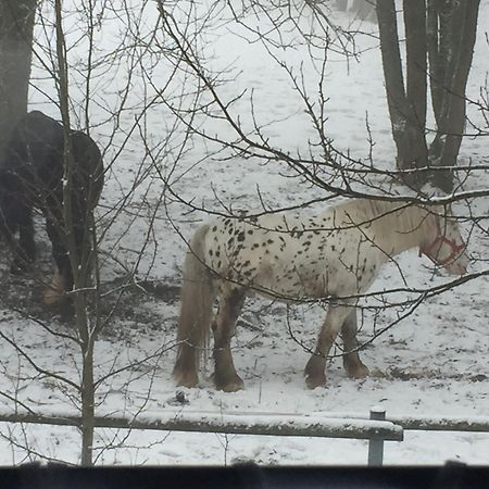 Penzion Na Slunicku Mariánská Εξωτερικό φωτογραφία